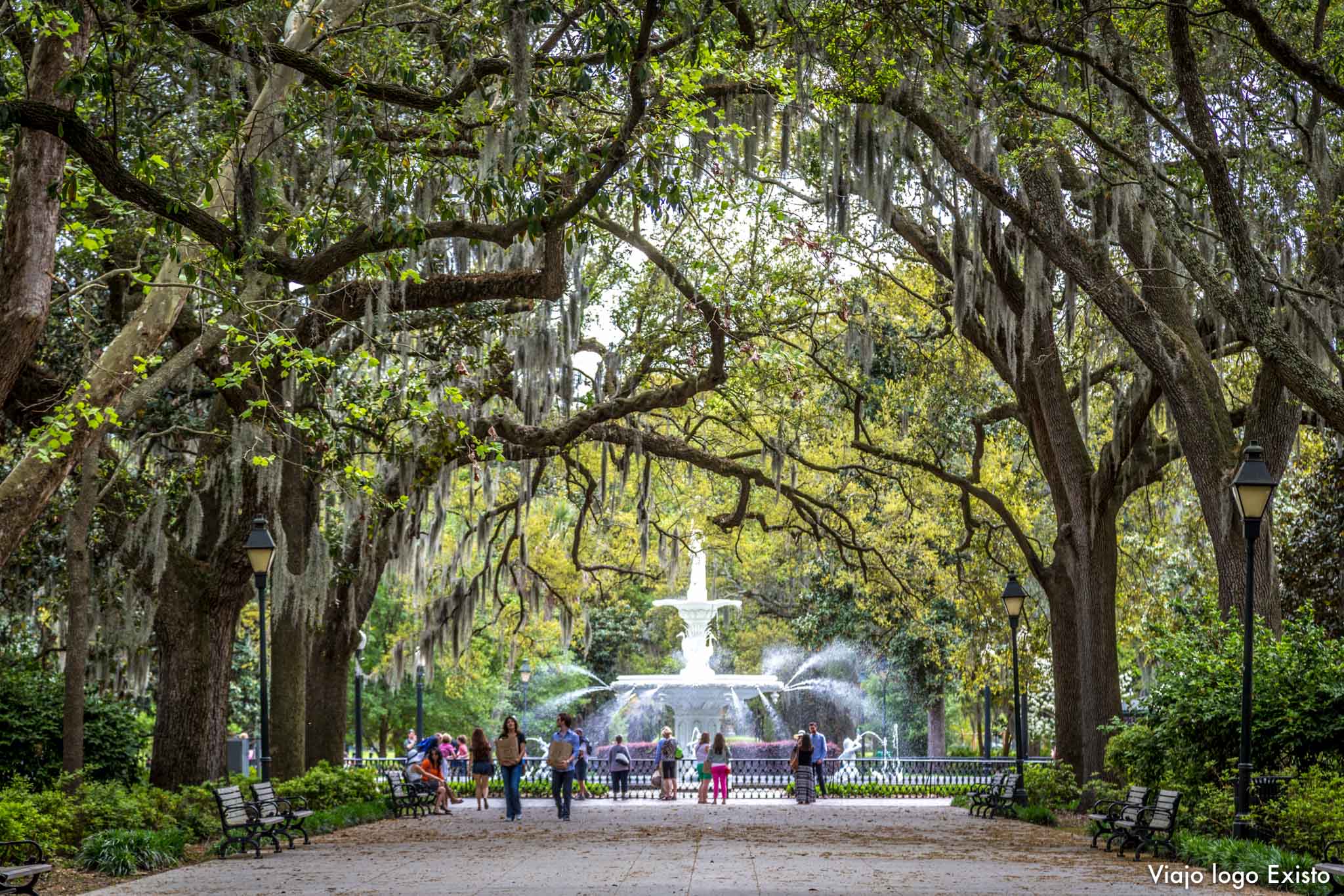 Estados Unidos_Savannah-5232