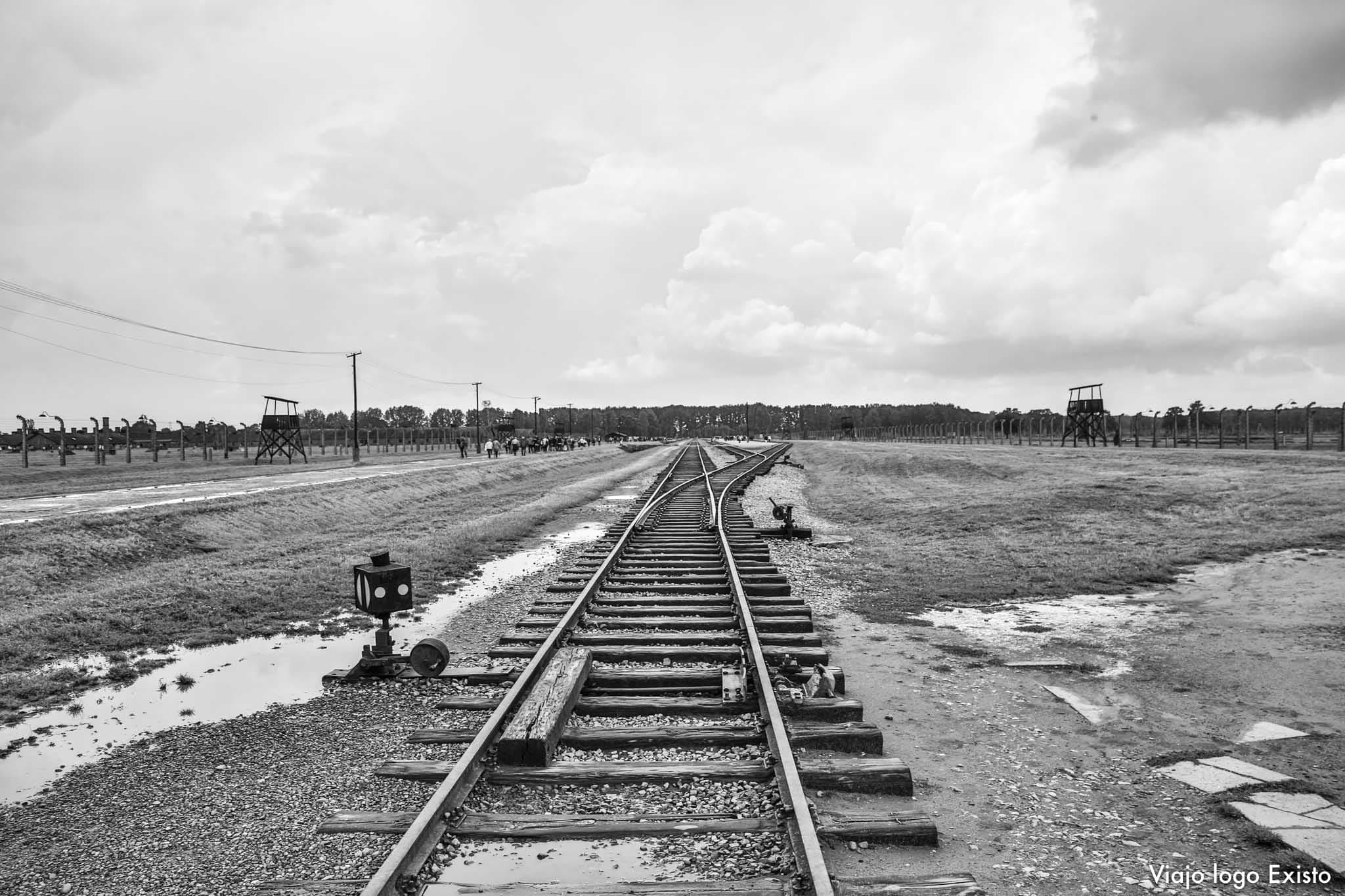 O62A4491