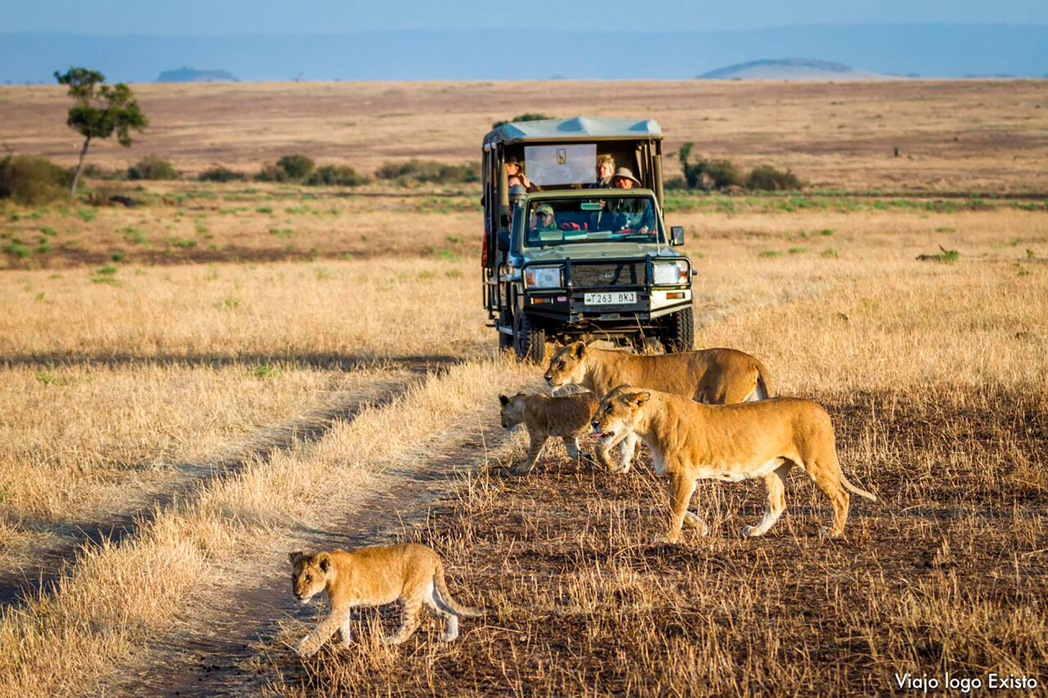 carro-safari-tanzania
