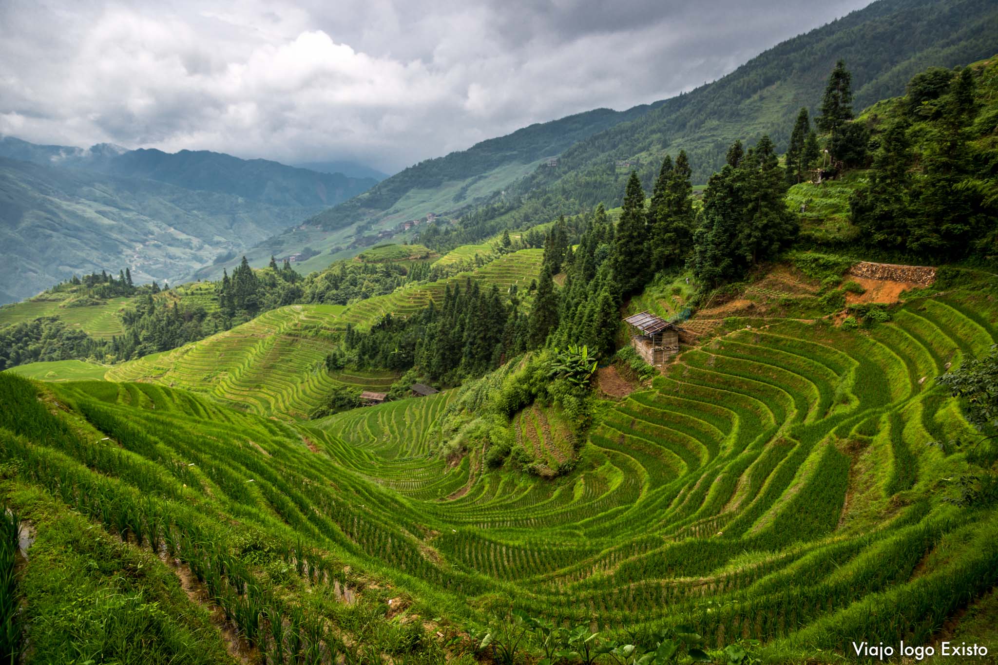 Resultado de imagem para terraços de arroz em Guilin