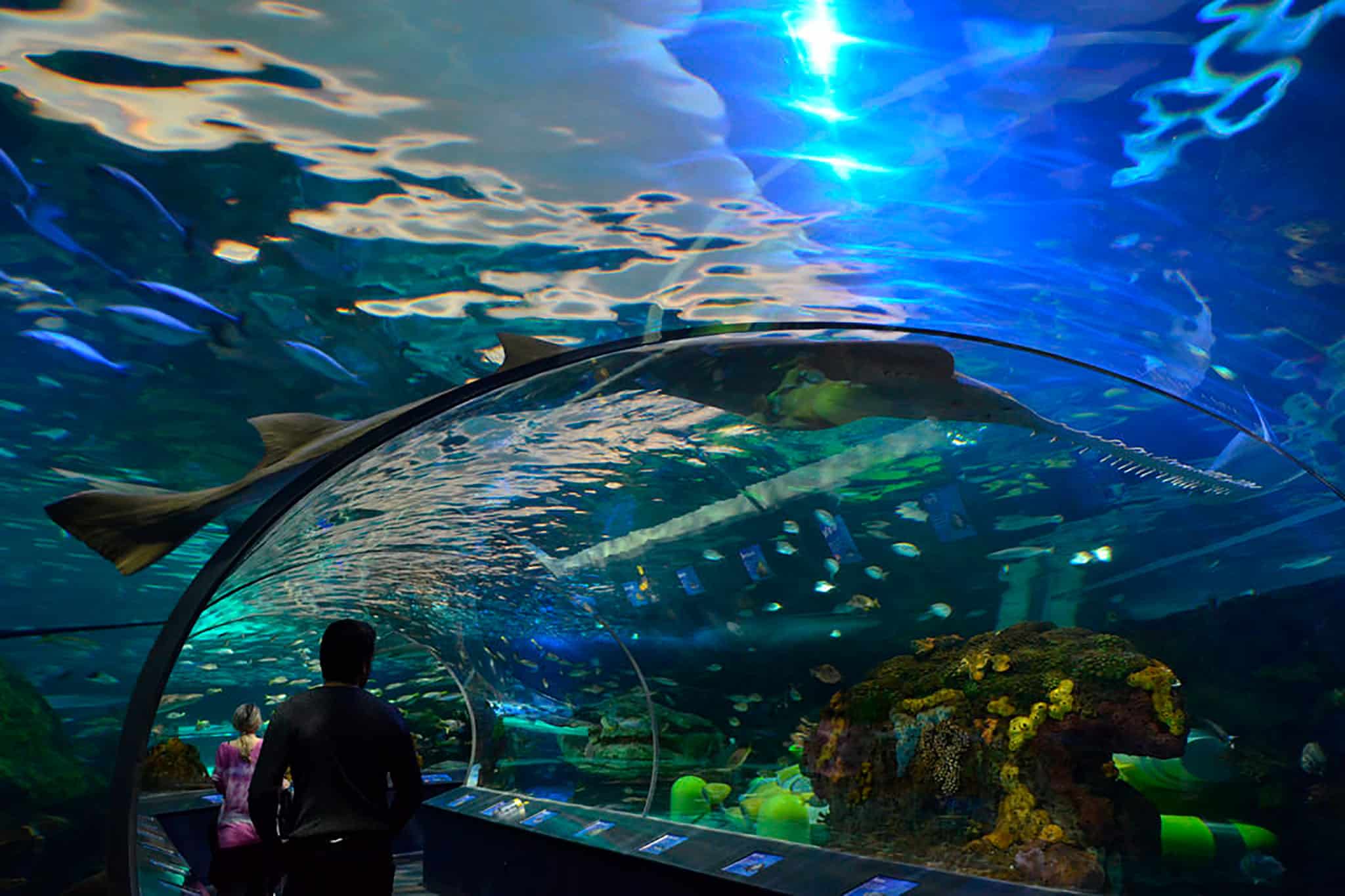 aquario-toronto