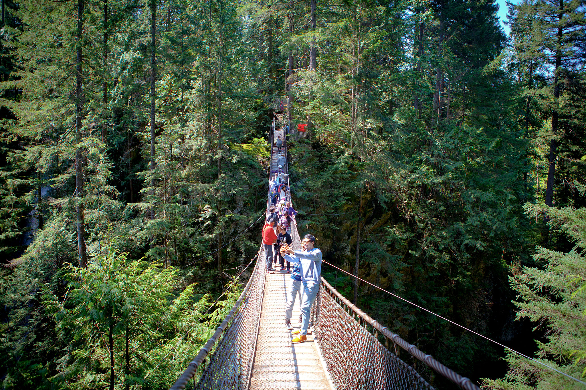 lynn-canyon-park-vancouver
