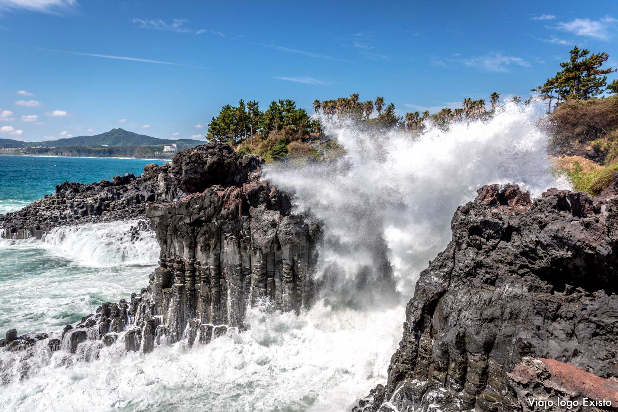 CoreiadoSul_Jeju-8531